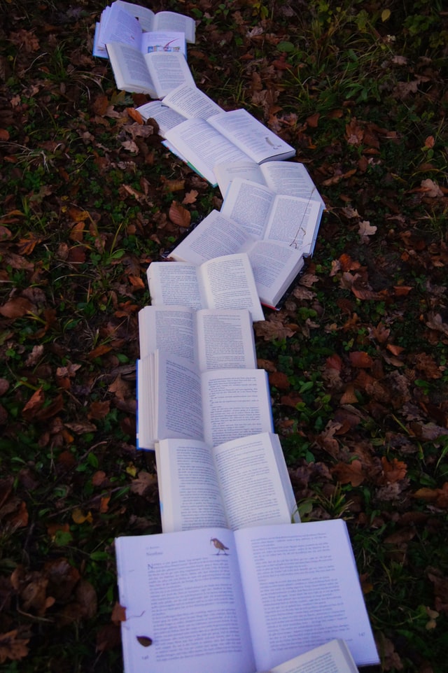 line of open books on ground covered in autumn leaves